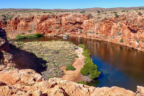 Ningaloo In A Day - Full Day Hike And Snorkel Tour With Lunch - Accommodation Daintree 2
