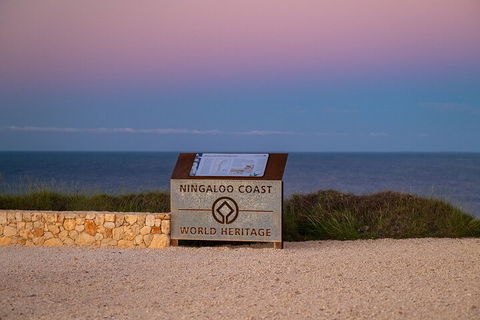Ningaloo In A Day - Full Day Hike And Snorkel Tour With Lunch - Accommodation Daintree 5