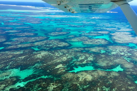 Shipwreck Special Full Day Tour Of The Abrolhos Islands - Accommodation Daintree 1