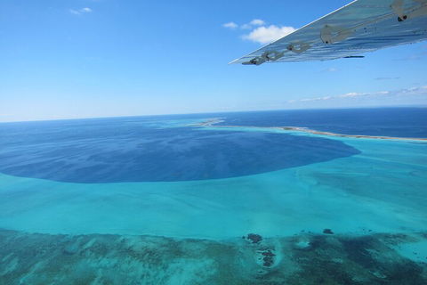Shipwreck Special Full Day Tour Of The Abrolhos Islands - Accommodation Daintree 2