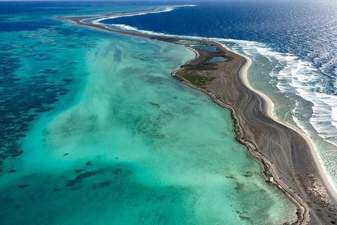 Shipwreck Special Full Day Tour Of The Abrolhos Islands - Accommodation Daintree 3
