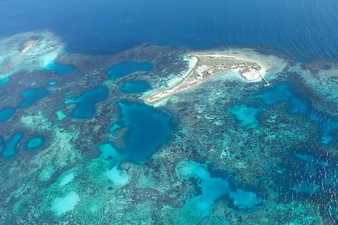Shipwreck Special Nature Tour/Half Day Tour - Accommodation Daintree 5