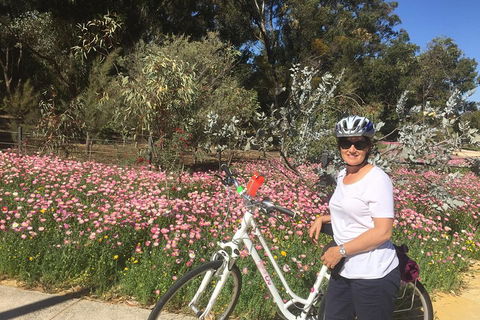 Perth Bike Tour - Beautiful Matilda Bay And Kings Park - Accommodation Daintree 1
