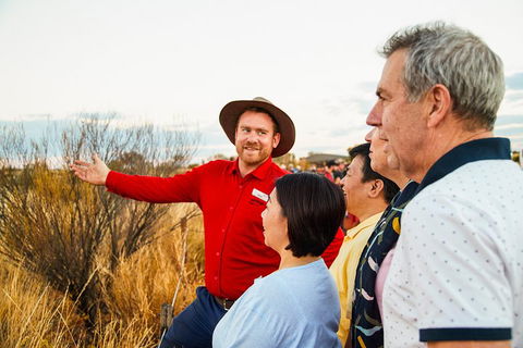 Uluru (Ayers Rock) Sunset With Outback Barbecue Dinner And Star Tour - Accommodation Daintree 3