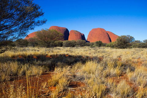 Kata Tjuta Sunrise And Valley Of The Winds Half-Day Trip - Accommodation Daintree 1
