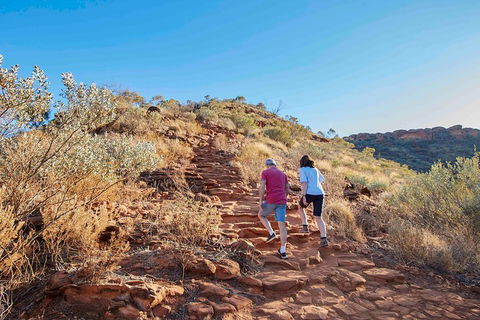 3-Day Tour From Uluru (Ayers Rock) To Alice Springs Via Kings Canyon - Accommodation Daintree 3