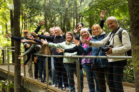 All Inclusive Blue Mountains Small-Group Day Trip From Sydney - Accommodation Daintree 5