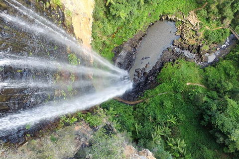 Natural Bridge & Springbrook Waterfalls Tour + Hot Air Balloon With Breakfast - Accommodation Daintree 1