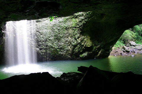 Natural Bridge & Springbrook Waterfalls Tour + Hot Air Balloon With Breakfast - Accommodation Daintree 2