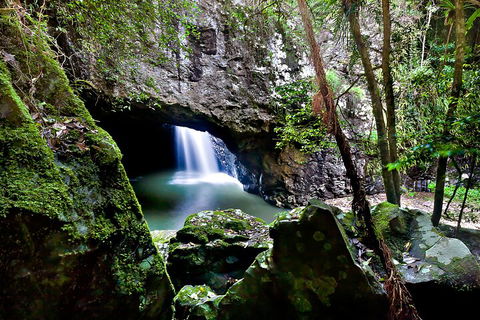Natural Bridge & Springbrook Waterfalls Tour + Hot Air Balloon With Breakfast - Accommodation Daintree 4