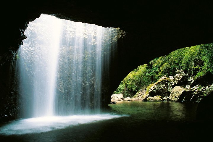  Accommodation Daintree