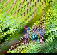 Tasmanian Wine Tour - Accommodation Daintree