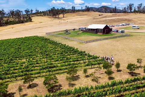 Tasmanian Wine Tour - Accommodation Daintree 3