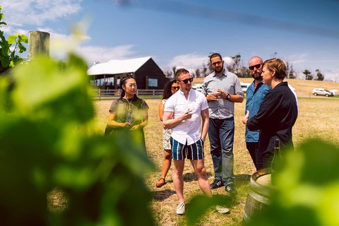 Tasmanian Wine Tour - Accommodation Daintree 5