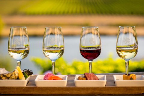 West Tamar Wine Tour - Accommodation Daintree 1