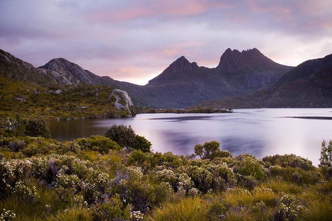 Cradle Mountain Private Charter Service - Accommodation Daintree 1