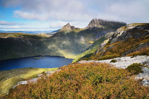 Cradle Mountain Private Charter Service - Accommodation Daintree 3