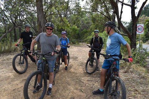 Fully Guided E-Mountain Bike Tour On The Beautiful Mornington Peninsula. - Accommodation Daintree 0