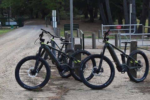 Fully Guided E-Mountain Bike Tour On The Beautiful Mornington Peninsula. - Accommodation Daintree 2