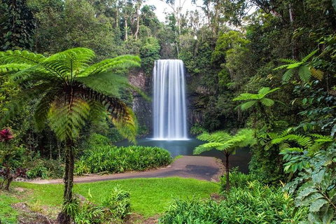 Cairns & Port Douglas All-Inclusive 7 Days Touring Package - Accommodation Daintree 2