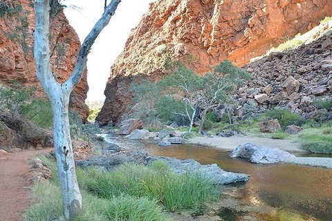 Alice Springs, Uluru Ayers Rock & Kings Canyon 8 Days Touring Package - Accommodation Daintree 2