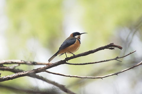 Private Blue Mountains Insider Tour From Sydney - Accommodation Daintree 2