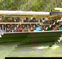 Hartley's Crocodile Adventure Half-Day Tour - Accommodation Daintree