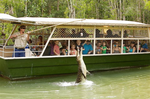 Hartley's Crocodile Adventure Half-Day Tour - Accommodation Daintree 0