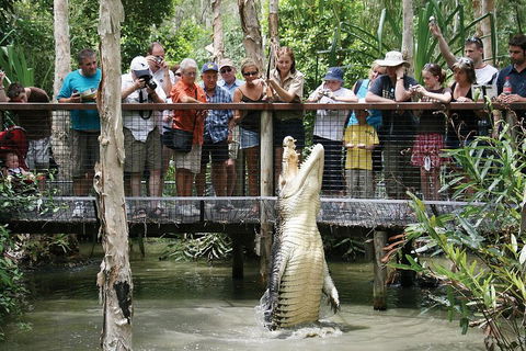 Hartley's Crocodile Adventure Half-Day Tour - Accommodation Daintree 1