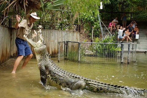 Hartley's Crocodile Adventure Half-Day Tour - Accommodation Daintree 2
