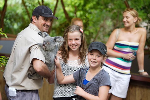 Hartley's Crocodile Adventure Half-Day Tour - Accommodation Daintree 3