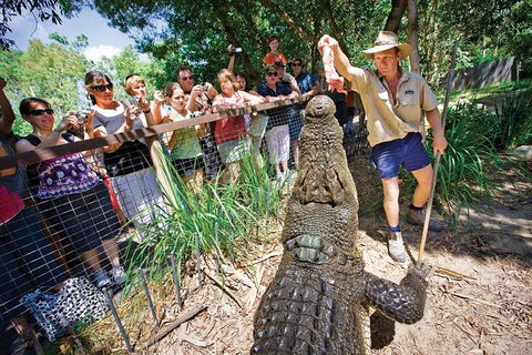 Hartley's Crocodile Adventure Half-Day Tour - Accommodation Daintree 4