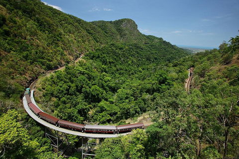 Skyrail Rainforest Cableway Day Trip From Cairns - Accommodation Daintree 5