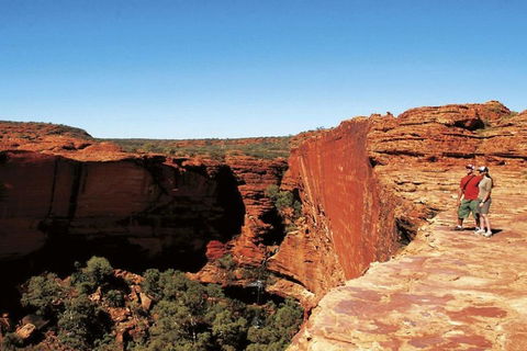 The Amazing Kings Canyon: 4-Hours Walking Tour And Hike - Accommodation Daintree 1