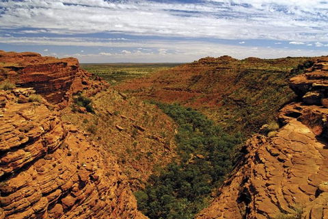 The Amazing Kings Canyon: 4-Hours Walking Tour And Hike - Accommodation Daintree 3