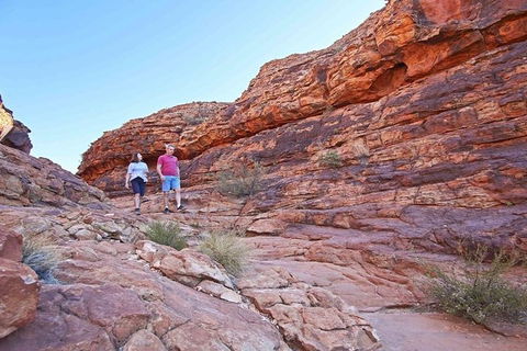 The Amazing Kings Canyon: 4-Hours Walking Tour And Hike - Accommodation Daintree 5