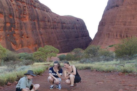 5-Hour Kata Tjuta Sunrise Tour From Ayers Rock With Breakfast - Accommodation Daintree 0