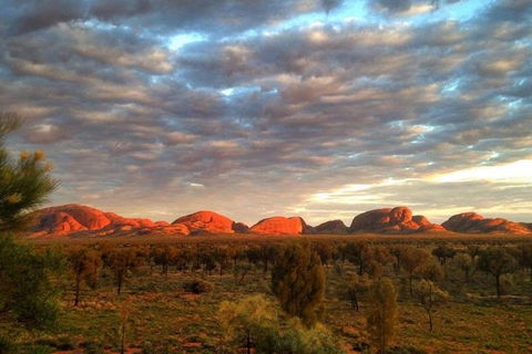 5-Hour Kata Tjuta Sunrise Tour From Ayers Rock With Breakfast - Accommodation Daintree 1