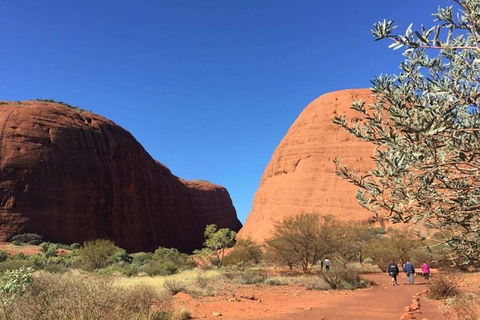 5-Hour Kata Tjuta Sunrise Tour From Ayers Rock With Breakfast - Accommodation Daintree 4