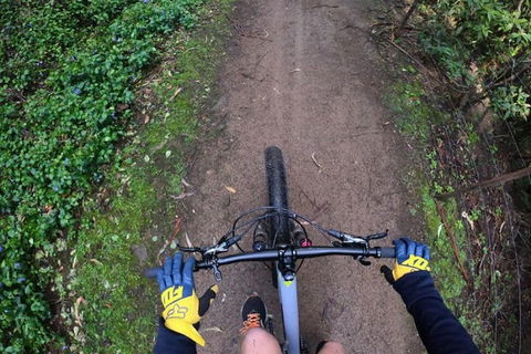 Explore Downhill Mountain In 3-Hour Bike Tour From Hobart - Accommodation Daintree 2