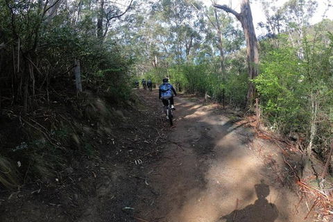 Explore Downhill Mountain In 3-Hour Bike Tour From Hobart - Accommodation Daintree 3