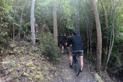 Explore Downhill Mountain In 3-Hour Bike Tour From Hobart - Accommodation Daintree 4