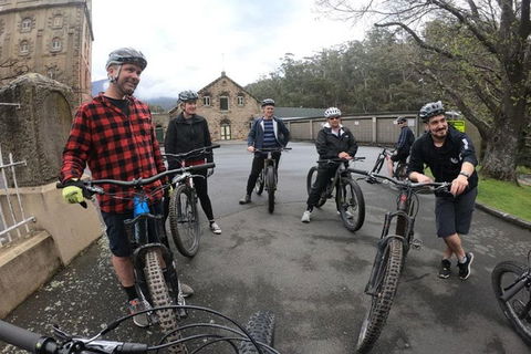 Explore Downhill Mountain In 3-Hour Bike Tour From Hobart - Accommodation Daintree 5