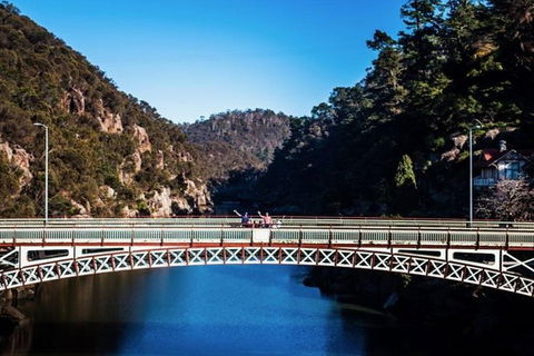 3.5 Hours Walking Tour To Cataract Gorge With Local Guide - Accommodation Daintree 4