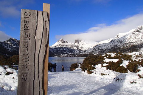 Cradle Mountain Active Day Trip From Launceston - Accommodation Daintree 3