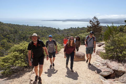 3-Day Tasmania Combo: Launceston To Hobart Active Tour Including Cradle Mountain, Freycinet National Park And Port Arthur - Accommodation Daintree 5