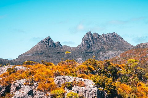 Cradle Mountain National Park Day Tour From Launceston - Accommodation Daintree 1