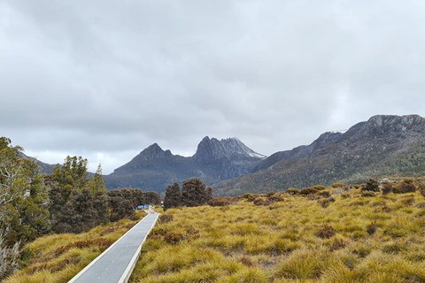 Cradle Mountain National Park Day Tour From Launceston - Accommodation Daintree 2