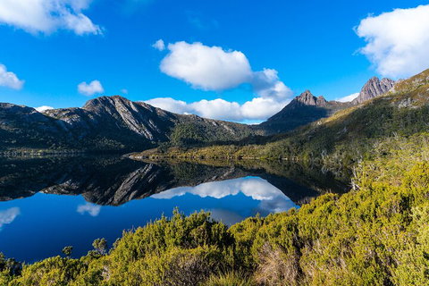 Cradle Mountain National Park Day Tour From Launceston - Accommodation Daintree 3