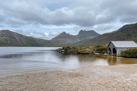 Cradle Mountain National Park Day Tour From Launceston - Accommodation Daintree 4